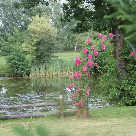 Ferienhaeuser In Den Magra-gaerten - An Der Polnischer Ostseekueste - Gruen Zakrzewo (Slawno)